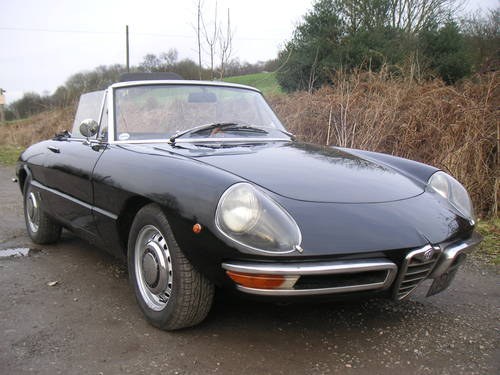1969 Alfa Romeo Spider Duetto NOW SOLD for full price  For Sale