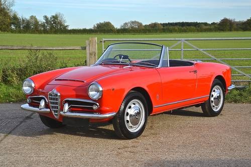 1964 Alfa Romeo Giulia Spider - Factory RHD For Sale