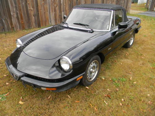 1987 Alfa Romeo Graduate Spider  , Low miles , Free shipping For Sale
