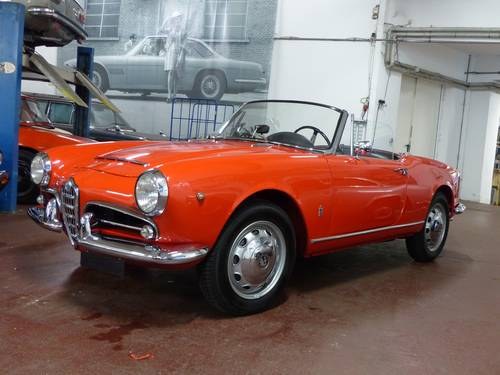 1964 flawless rust-free Giulia Spider 1600, historic car SOLD
