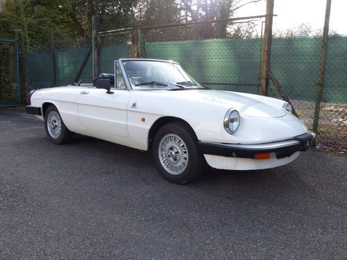 1984 good value Alfa Spider for beginners SOLD