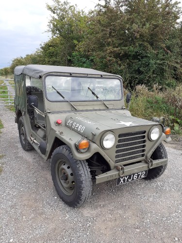 1973 M151A2 MUTT - Vietnam War era Jeep Kaufen Bei