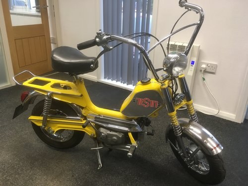 1974 Testi Pull For Sale