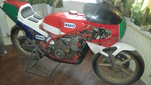 1982 Beko 250 GP Racing Motorcycle For Sale