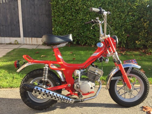 1976 Peripoli Oxford 50 Italian Sports moped morini In vendita