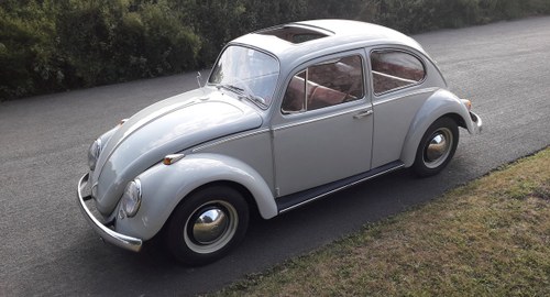 1965 Volkswagen Beetle For Sale