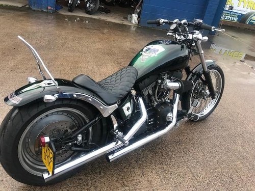 2002 Harley Davidson FXSTB custom build For Sale