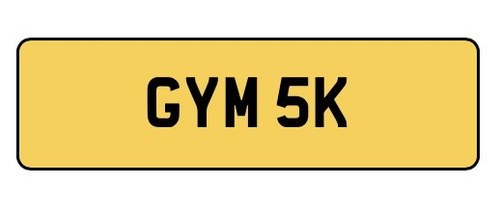 GYM 5K - Cherished Registration In vendita