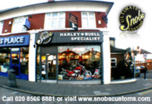Harley Davidson & Buell Specialists