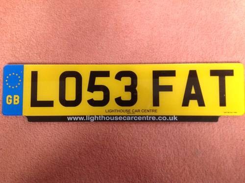 LOSE FAT plate LO53 FAT For Sale