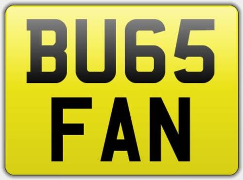 BU65 FAN - great Beetle plate For Sale