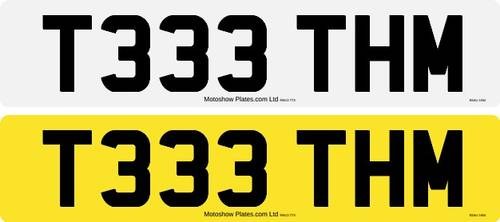 T333 THM (Teeth Number Plate) Teeth Man For Sale