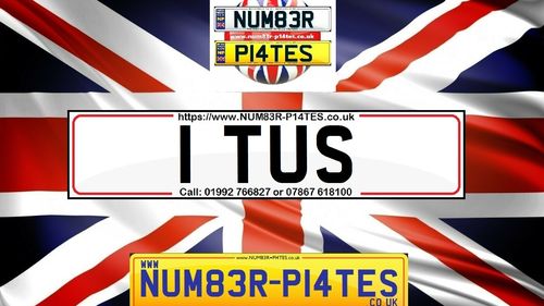 Picture of 1 TUS - Short Dateless 1x3 Private Number Plate - For Sale