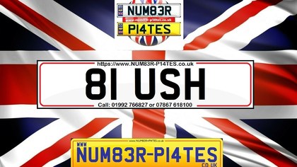 81 USH - Dateless Private Number Plate