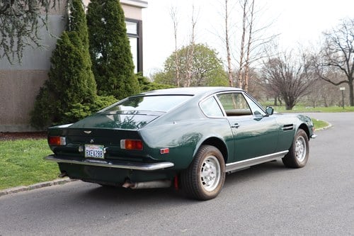 1982 Aston Martin V8 - 5