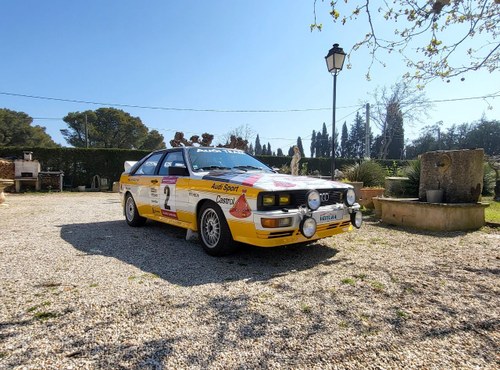 1981 Audi Quattro For Sale