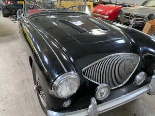 1954 Austin Healey 100/4 LHD project For Sale