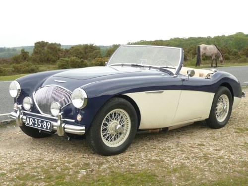 1954 Stunning Healey 100 For Sale