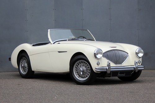 1954 Austin-Healey 100 / 4 BN1 Roadster LHD For Sale