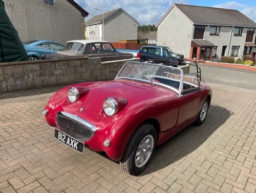 1960 Austin healey Frogeye   Sorry Now Sold SOLD