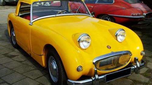 Picture of 1959 Austin Healey Sprite "Frogeye" yellow! - For Sale