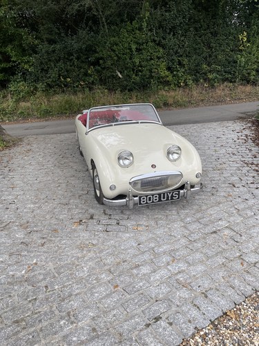 1960 frogeye sprite For Sale