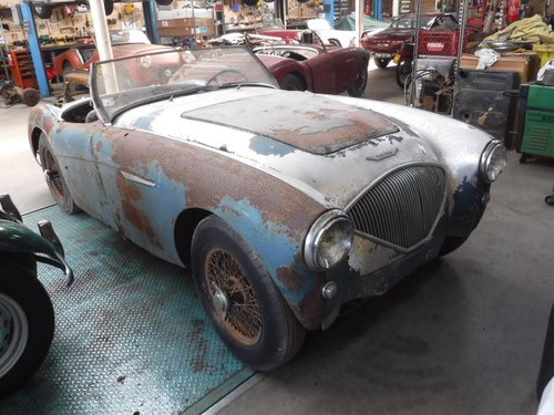 Austin Healey 100/4 1955 "to restore!" For Sale