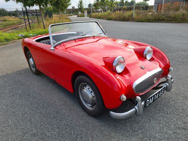Picture of ?AUSTIN HEALEY SPRITE ( FROGEYE ) 1960  21500 euro For Sale