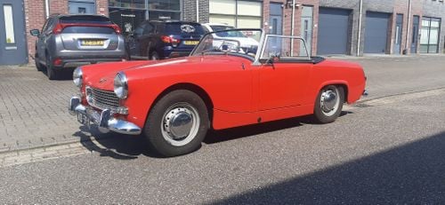 Picture of Austin Healey Sprite MK2 LHD For Sale
