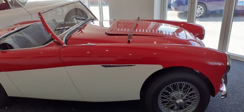1954 AUSTIN HEALEY 100/4 BN1 LE MANS SPECIFICATION For Sale