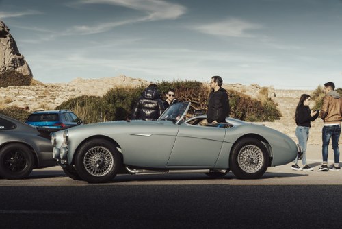 1954 Austin Healey 100M LHD Kaufen Bei