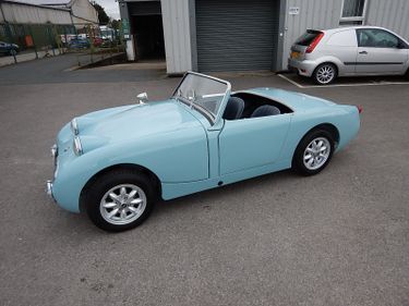 Picture of 1958 Austin Healey Frogeye Mk1 Sprite ~ For Sale