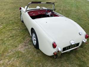2000 Trojan Healey Sprite For Sale (picture 3 of 12)