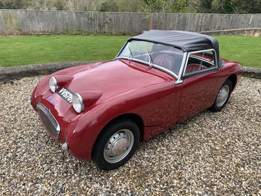 Picture of 1958 Austin Healey (Frogeye) Sprite all steel, matching no’s - For Sale