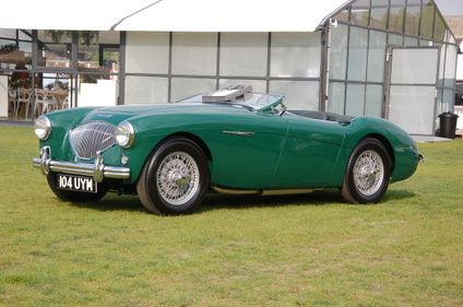 Picture of Austin Healey 100/4 BN1 Concours Winner