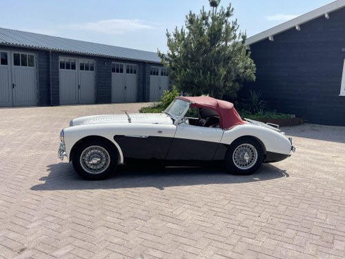 1955 Austin healey 100-4 le mans configuration In vendita
