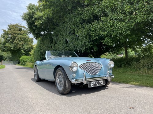 1954 Austin-Healey 100 VENDIDO