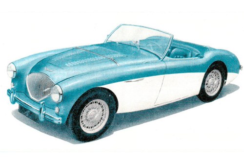 1956 Austin Healey 100M In vendita