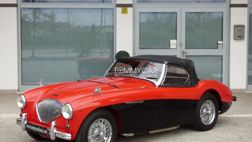 Picture of Austin Healey 100/4 BN1 1954 - For Sale