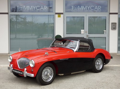 Austin Healey 100/4 BN1 1954 A vendre