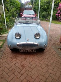 Picture of 1961 Austin Healey Frog Eye Sprite 56,000 miles