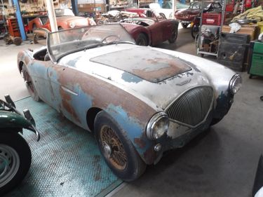 Picture of 1955 Austin Healey 100/4 2660cc - For Sale