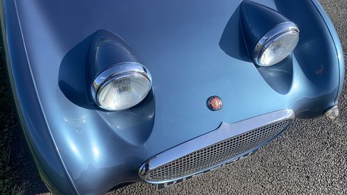 Picture of Healey Frogeye. IOW built car in Ecurie Ecosse Blue - For Sale