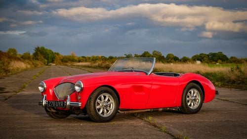 Picture of 1956 Austin Healey 100/4 BN2 - For Sale