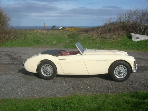 1956 Austin Healey 100/6 BN4