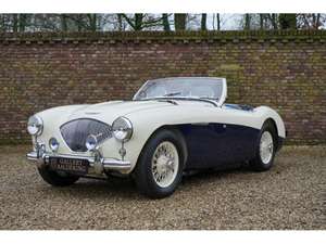 1955 Austin Healey 100/4 BN1 100M-spec, Denis Welch cilinder head For Sale (picture 1 of 6)