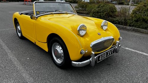Picture of 1961 Austin Healey Frogeye Sprite - For Sale