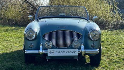 Picture of 1955 Austin Healey 100 BN1 - For Sale