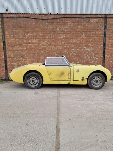 1958 Austin Healey Sprite Frogeye project- 948cc For Sale