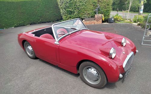 1960 Austin Healey Frogeye Sprite (picture 1 of 12)